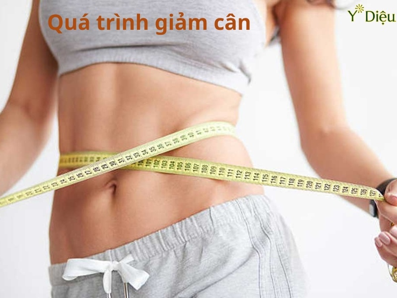 Uống Dây Thìa Canh Có Giảm Cân Không, Cách Dùng Như Thế Nào